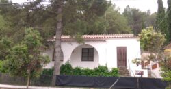 Spain detached house in Pontons, Unique opportunity! PR-00240