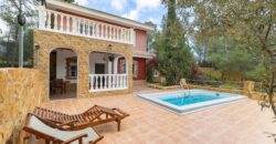 Spain impressive villa 2 floors with terrace, pool and garden 005755