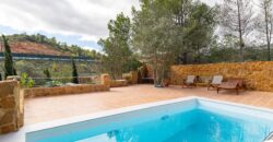 Spain impressive villa 2 floors with terrace, pool and garden 005755