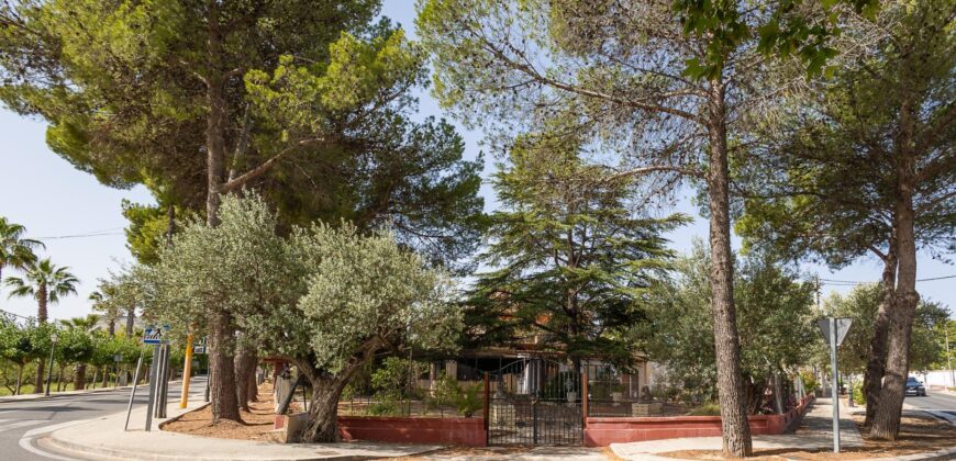 Spain Detached Villa in Macastre – Your Investment Opportunity! 005595