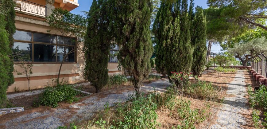 Spain Detached Villa in Macastre – Your Investment Opportunity! 005595