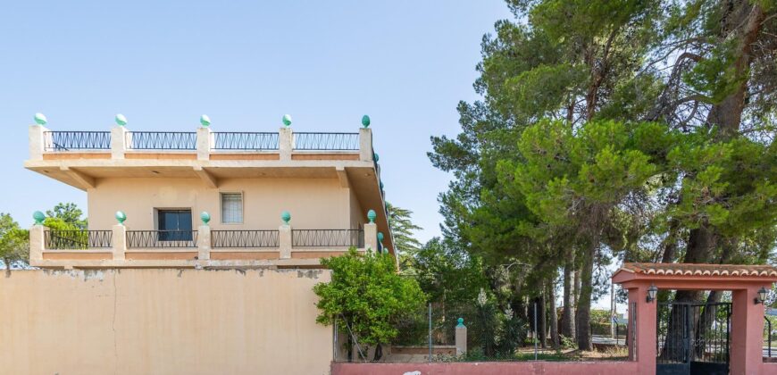 Spain Detached Villa in Macastre – Your Investment Opportunity! 005595