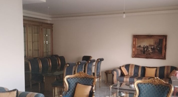 ain saadeh fully furnished apartment for rent, main road #6471