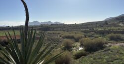 Spain villa in Cartagena on a large plot 6560 sqm, quiet area SVM718630