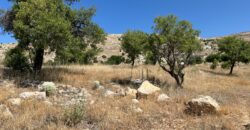 zahle Qaa Er Rim land 802 sqm for sale Ref#6459