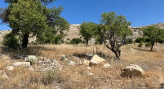 zahle Qaa Er Rim land 802 sqm for sale Ref#6459