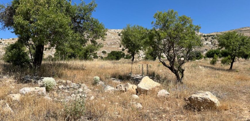 zahle Qaa Er Rim land 802 sqm for sale Ref#6459