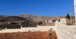 zahle ommol land 1710 sqm with construction permit, planted trees #6479