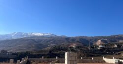 zahle ommol land 1710 sqm with construction permit, planted trees #6479