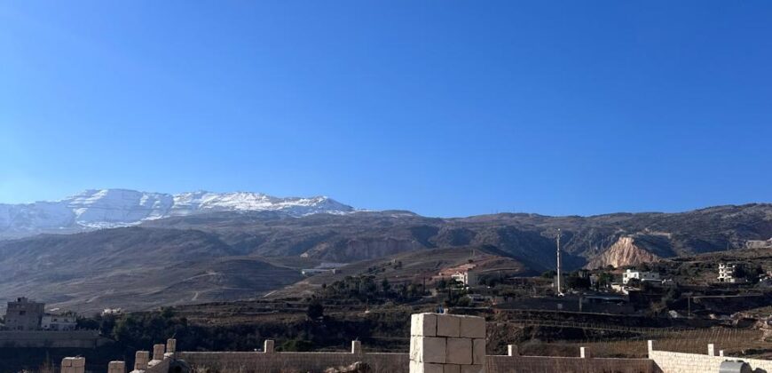 zahle ommol land 1710 sqm with construction permit, planted trees #6479