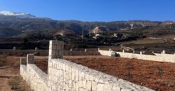 zahle ommol land 1710 sqm with construction permit, planted trees #6479