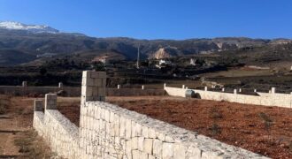 zahle ommol land 1710 sqm with construction permit, planted trees #6479