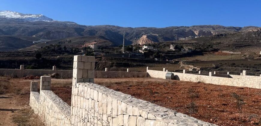 zahle ommol land 1710 sqm with construction permit, planted trees #6479