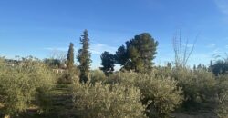 Spain Murcia Get your residency! villa on a large plot with pool SVM710115