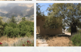 zaarour land 16,000 sqm for sale includes a built mountain cabin #6593