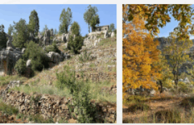 zaarour land 12,112 sqm for sale includes a built mountain cabin #6592