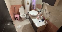 haouch el omara fully furnished apartment for rent stargate area #6600