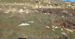 laqlouq land 3,005 sqm for sale, panoramic view #6607