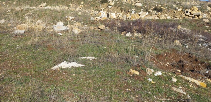 laqlouq land 3,005 sqm for sale, panoramic view #6607