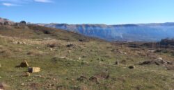 laqlouq land 3,005 sqm for sale, panoramic view #6607