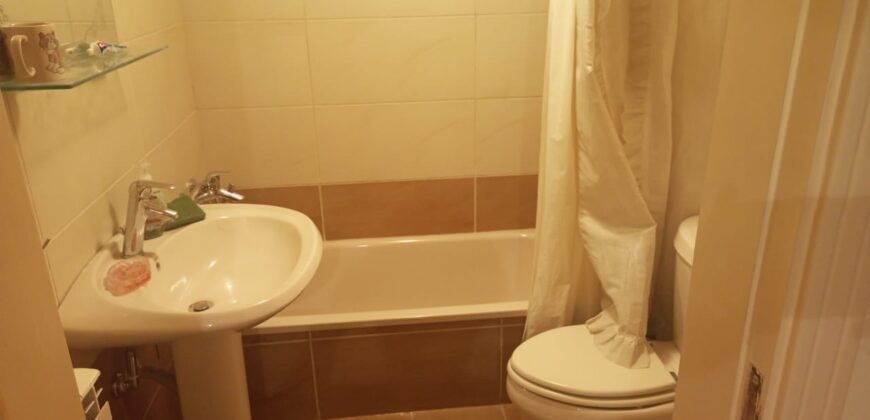Ain El Ghossein fully furnished apartment for rent #6622