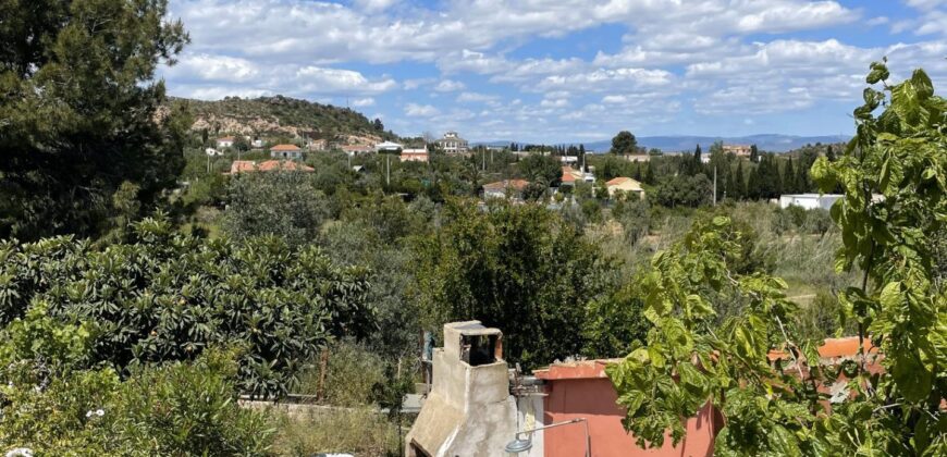 Spain Get your residency! villa with private pool & garden 006605