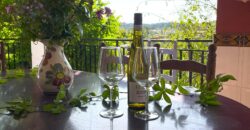Spain Get your residency! villa with private pool & garden 006605