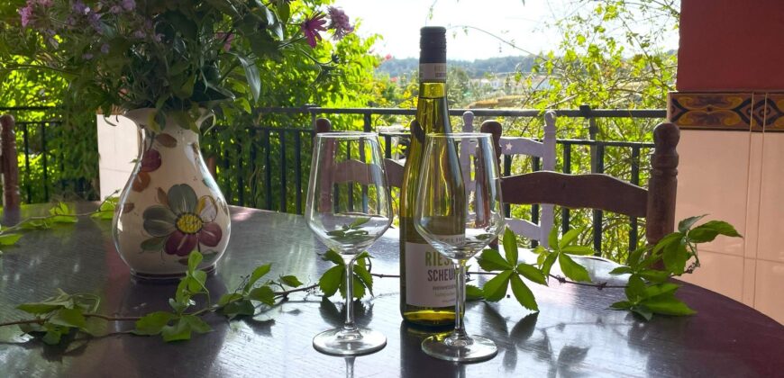 Spain Get your residency! villa with private pool & garden 006605