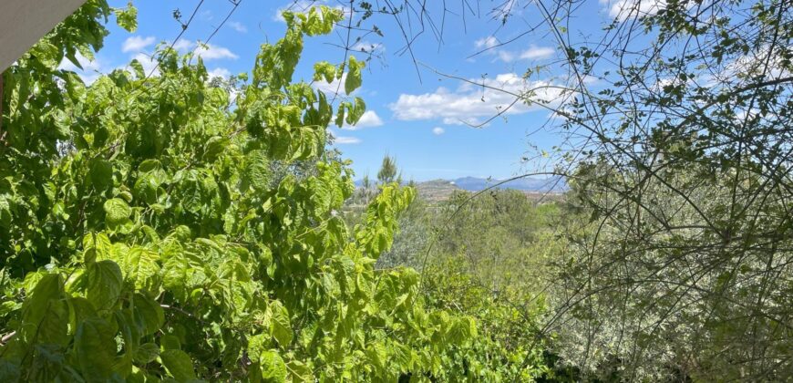 Spain Get your residency! villa with private pool & garden 006605