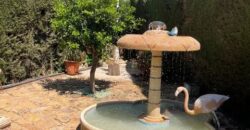 Spain get your residency! GF apartment with pool 98565735