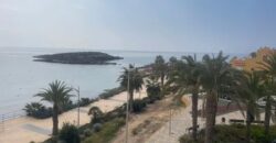 Spain get your residency! luxurious penthouse with sea view 107425396