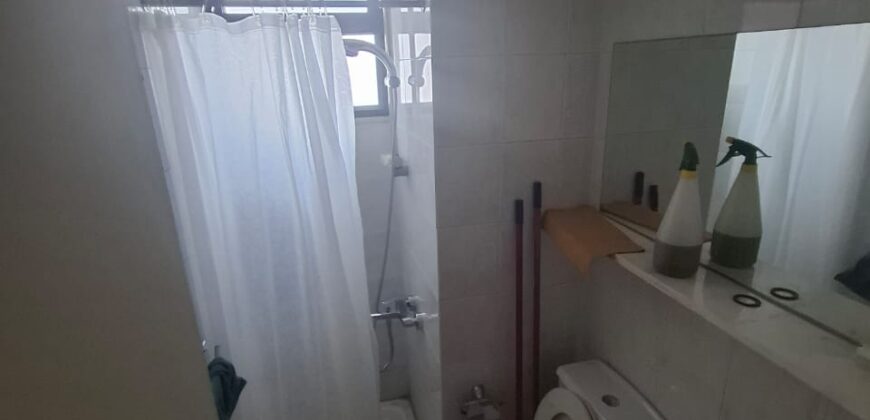 jal el dib fully furnished apartment 245 sqm for rent #6631