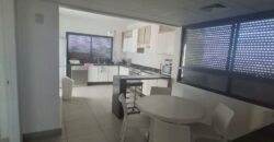 jal el dib fully furnished apartment 245 sqm for rent #6631