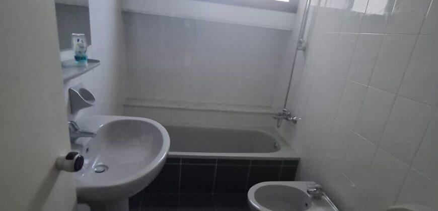 jal el dib fully furnished apartment 245 sqm for rent #6631