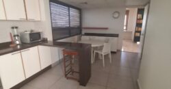 jal el dib fully furnished apartment 245 sqm for rent #6631