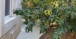 zahle dhour apartment 170 sqm + 130 sqm garden for sale #6636