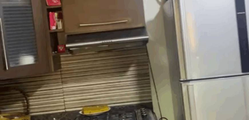 Fully Furnished Apartment for Sale – Zahle Maalaka (Near Hamra Plaza) #6626
