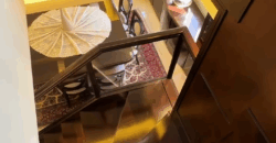 aoukar luxurious duplex fully decorated 150 sqm + 300 sqm roof, sea view #6627