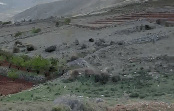 zahle twaite land 1200 sqm for sale #6635