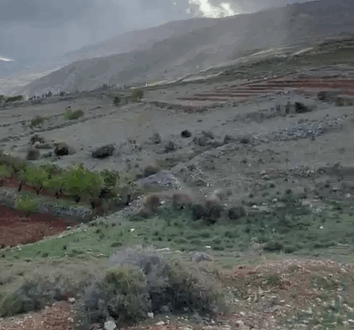 zahle twaite land 1200 sqm for sale #6635
