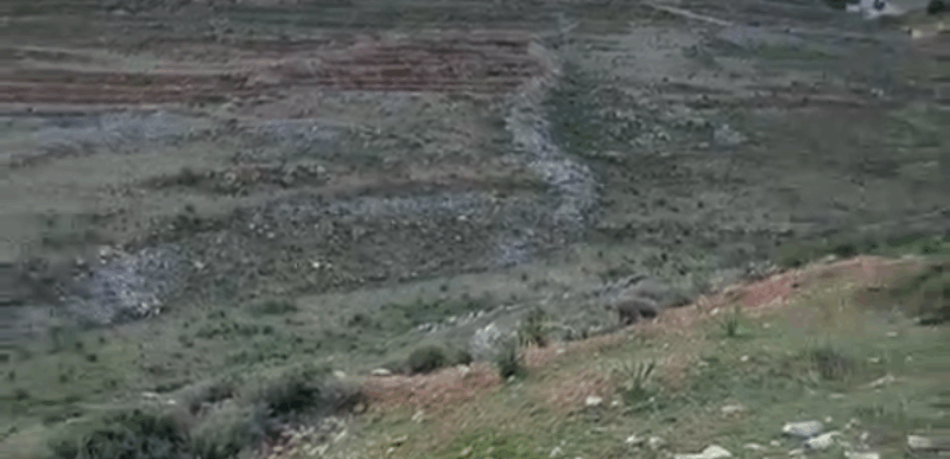 zahle twaite land 1200 sqm for sale #6635