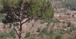 khenchara / bolonia land 935 sqm for sale #6634