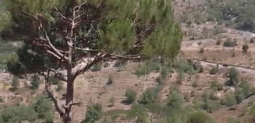 khenchara / bolonia land 935 sqm for sale #6634