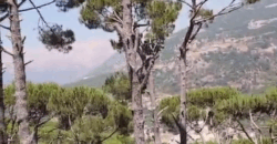 khenchara / bolonia land 935 sqm for sale #6634