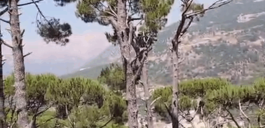 khenchara / bolonia land 935 sqm for sale #6634