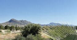 Spain Get your residency! renovated villa with pool SVM734606