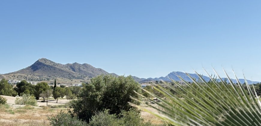 Spain Get your residency! renovated villa with pool SVM734606