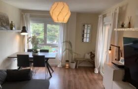 Spain Get your residency! renovated apartment great location RML-02625