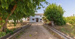 Spain Get your residency! country house with large plot #006675