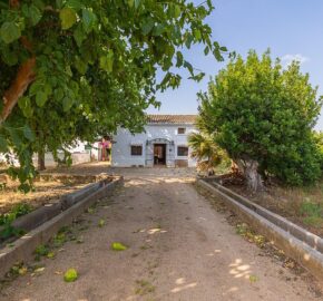 Spain Get your residency! country house with large plot #006675